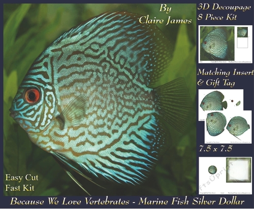 Because We Love Vertebrates - Coral Reef Tropical Marine Silver Dollar Fish - Decoupage + Insert & Tag