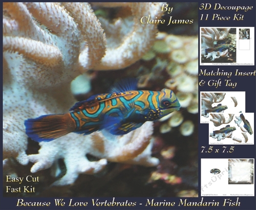 Because We Love Vertebrates - Coral Reef Tropical Marine Mandarin Fish - Decoupage + Insert & Tag