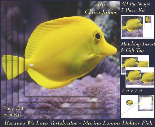 Because We Love Vertebrates - Coral Reef Tropical Marine Lemon Doktor Fish - Pyrimage/pyramid + Insert & Tag