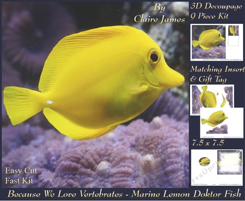 Because We Love Vertebrates - Coral Reef Tropical Marine Lemon Doktor Fish - Decoupage + Insert & Tag