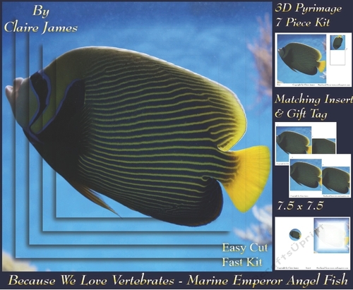 Because We Love Vertebrates - Coral Reef Tropical Marine Emporer Angel Fish - Pyrimage/pyramid + Insert & Tag