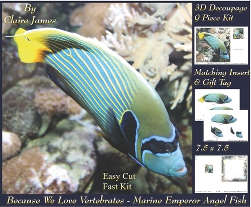 Because We Love Vertebrates - Coral Reef Tropical Marine Emporer Angel Fish 2 - Decoupage + Insert & Tag
