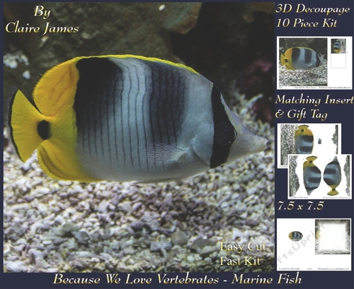 Because We Love Vertebrates - Coral Reef Tropical Marine Fish - Decoupage + Insert & Tag