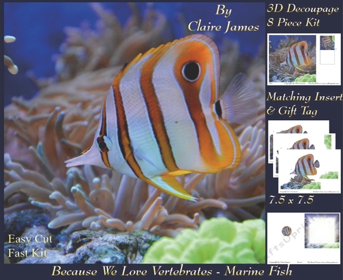 Because We Love Vertebrates - Coral Reef Tropical Marine Fish - Decoupage + Insert & Tag