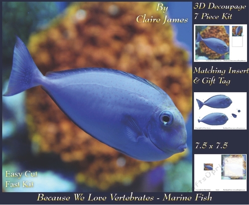Because We Love Vertebrates - Coral Reef Tropical Marine Fish - Decoupage + Insert & Tag