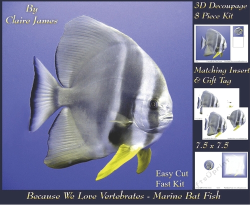 Because We Love Vertebrates - Coral Reef Tropical Marine Fish - Decoupage + Insert & Tag