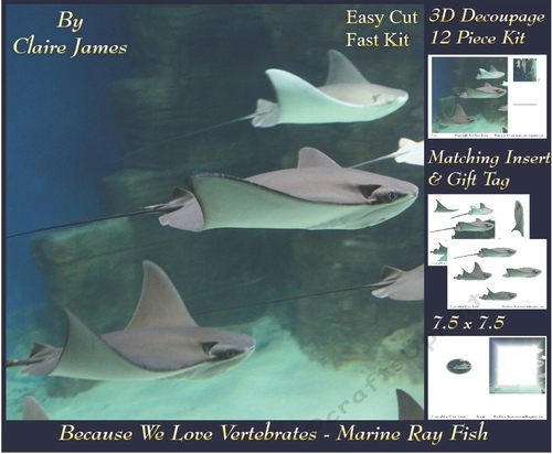 Because We Love Vertebrates - Coral Reef Tropical Marine Ray Fish - Decoupage + Insert & Tag