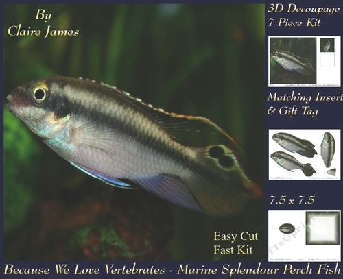 Because We Love Vertebrates - Coral Reef Tropical Marine Splendour Perch Fish - Decoupage + Insert & Tag