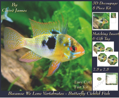 Because We Love Vertebrates - Coral Reef Tropical Marine Butterfly Cichlid Fish - Decoupage + Insert & Tag