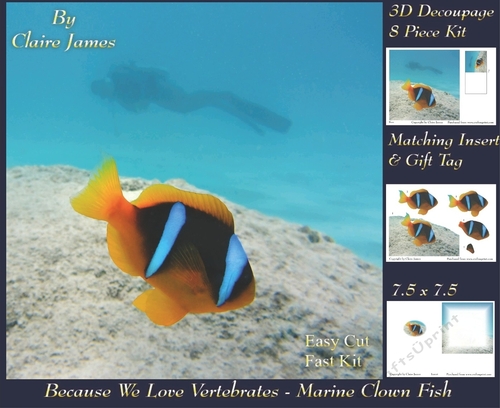 Because We Love Vertebrates - Coral Reef Tropical Beautiful Marine Clown Fish - Decoupage + Insert & Tag