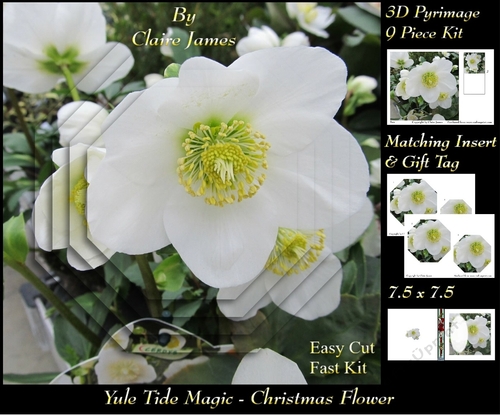 Yule Tide Magic - Christmas Flower - Pyrimage/pyramid Easy Cut Fast kit + Insert & Gift Tag
