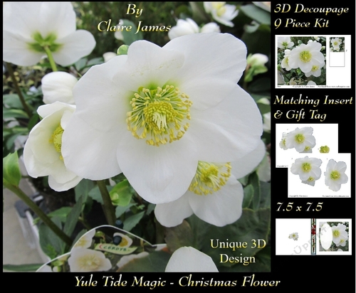 Yule Tide Magic -  Christmas Flower - 3D Decoupage Unique Design kit + Insert & Gift Tag
