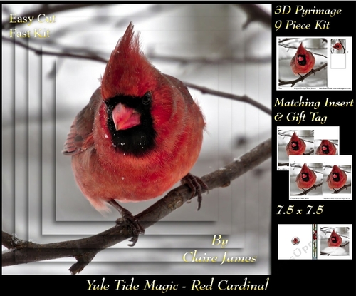 Yule Tide Magic - Red Cardinal Bird - Pyrimage/pyramid Easy Cut Fast kit + Insert & Gift Tag