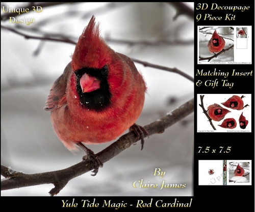 Yule Tide Magic -  Red Cardinal Bird - 3D Decoupage Unique Design kit + Insert & Gift Tag