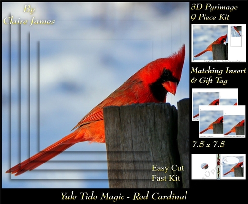 Yule Tide Magic - Red Cardinal - 3D Pyramid/pyrimage + Insert & Gift Tag