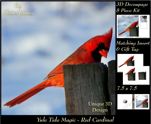 Yule Tide Magic - Red Cardinal - 3D Decoupage Unique Design kit + Insert & Gift Tag