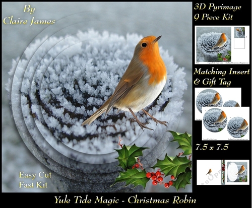 Yule Tide Magic - Christmas Robin - 3D Pyramid/pyrimage + Insert & Gift Tag