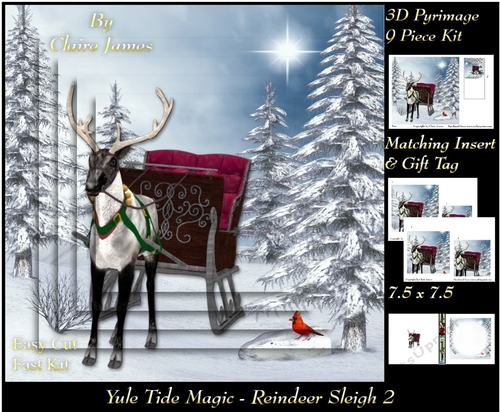 Yule Tide Magic - Reindeer Sleigh 2 - 3D Pyramid/pyrimage + Insert & Gift Tag