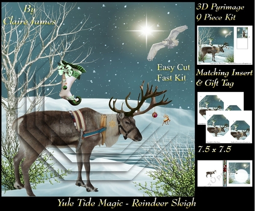 Yule Tide Magic - Reigndeer Christmas - 3D Pyramid/pyrimage + Insert & Gift Tag