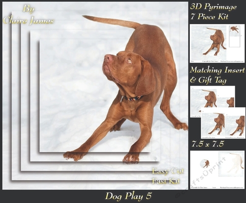 Furry Friends & Familiars - Dog Play 5 - Pyrimage/pyramid + Insert & Tag