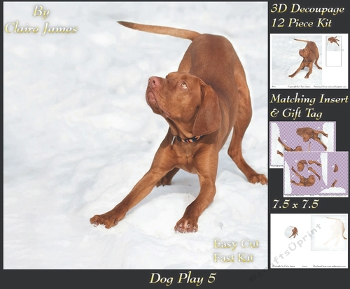 Furry Friends & Familiars - Dog Play 5 - Decoupage + Insert & Tag
