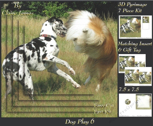 Furry Friends & Familiars - Dog Play 6 - Pyrimage/pyramid + Insert & Tag