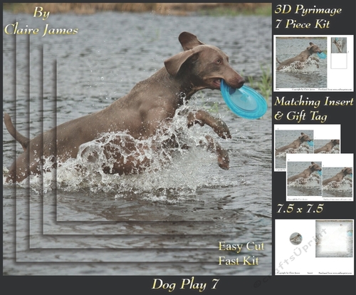 Furry Friends & Familiars - Dog Play 7 - Pyrimage/pyramid + Insert & Tag