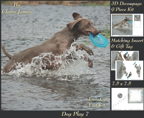 Furry Friends & Familiars - Dog Play 7 - Decoupage + Insert & Tag