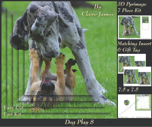Furry Friends & Familiars - Dog Play 8 - Pyrimage/pyramid + Insert & Tag