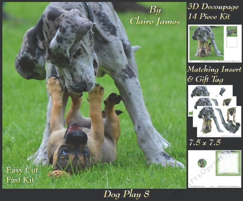 Furry Friends & Familiars - Dog Play 8 - Decoupage + Insert & Tag
