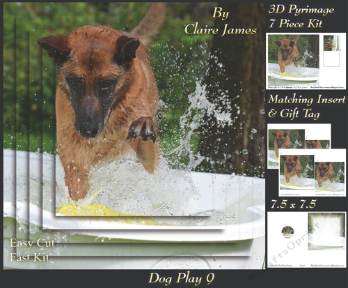 Furry Friends & Familiars - Dog Play 9 - Pyrimage/pyramid + Insert & Tag