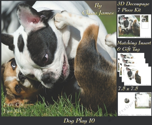 Furry Friends & Familiars - Dog Play 10 - Pyrimage/pyramid + Insert & Tag