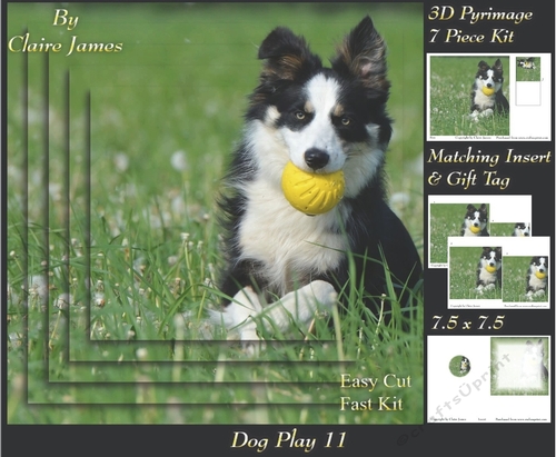 Furry Friends & Familiars - Dog Play 11 - Pyrimage/pyramid + Insert & Tag
