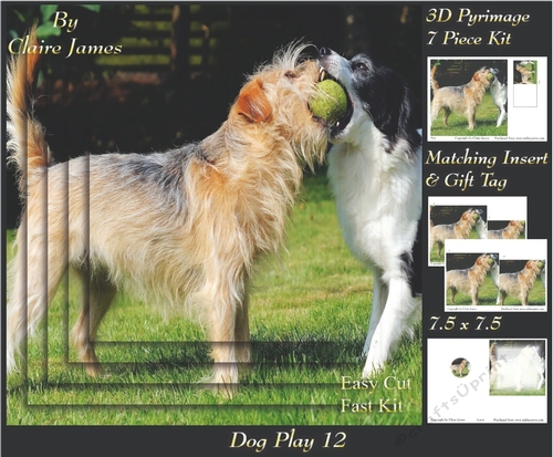 Furry Friends & Familiars - Dog Play 12 - Pyrimage/pyramid + Insert & Tag