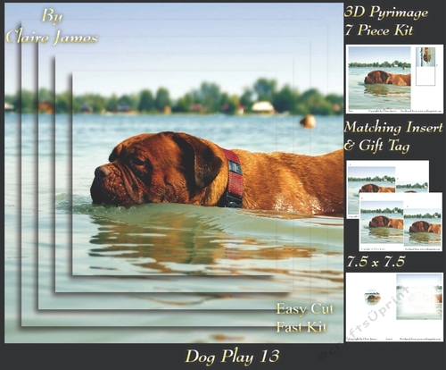Furry Friends & Familiars - Dog Play 13 - Pyrimage/pyramid + Insert & Tag