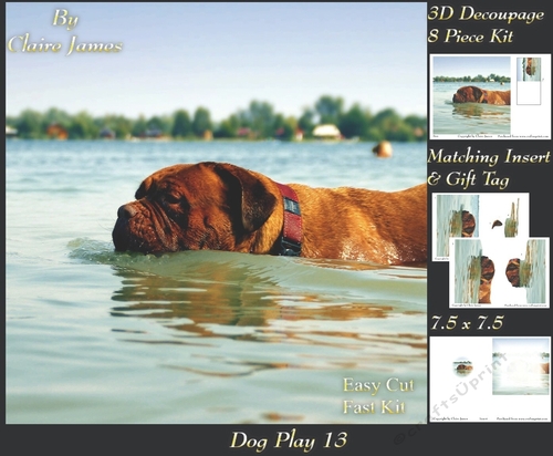 Furry Friends & Familiars - Dog Play 13 - Decoupage + Insert & Tag