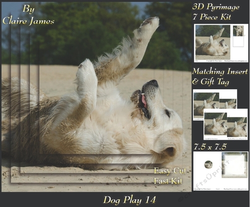 Furry Friends & Familiars - Dog Play 14 - Pyrimage/pyramid + Insert & Tag