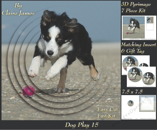Furry Friends & Familiars - Dog Play 15 - Pyrimage/pyramid + Insert & Tag