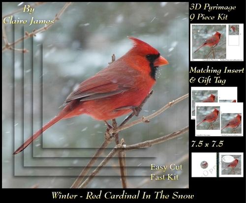 Winter - Cardinal In The Snow - Pyrimage/pyramid + Insert & Tag