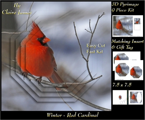 Winter - Red Cardinal - Pyrimage/pyramid + Insert & Tag