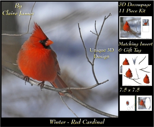 Winter - Red Cardinal - Decoupage + Insert & Tag