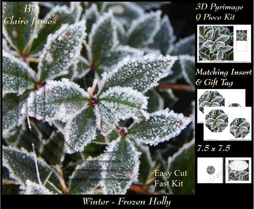 Winter - Frozen Holly - Pyrimage/pyramid + Insert & Tag