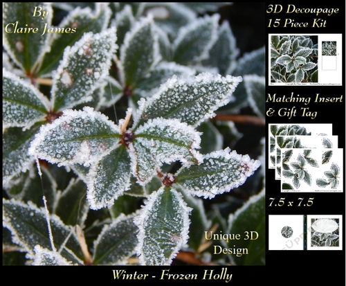 Winter - Frozen Holly - Decoupage + Insert & Tag
