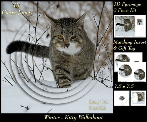 Winter - Kitty Walkabout - Pyrimage/pyramid + Insert & Tag