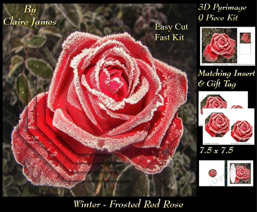 Winter - Frosted Red Rose - Pyrimage/pyramid + Insert & Tag