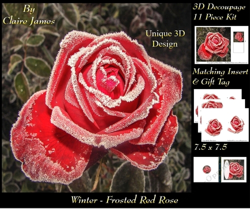 Winter - Frosted Red Rose - Decoupage + Insert & Tag