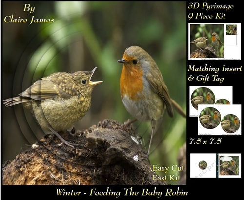 Winter - Feeding The Baby Robin - Pyrimage/pyramid + Insert & Tag
