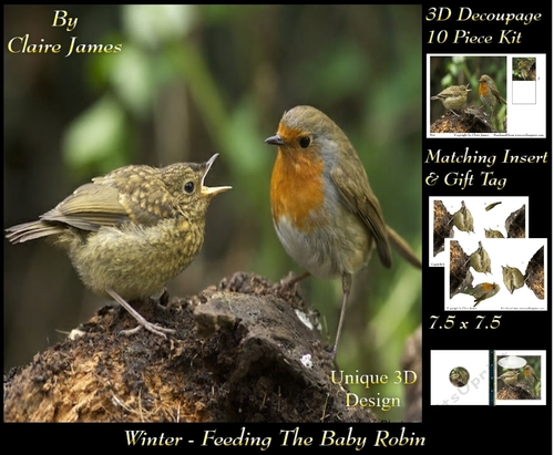 Winter - Feeding The Baby Robin - Decoupage + Insert & Tag