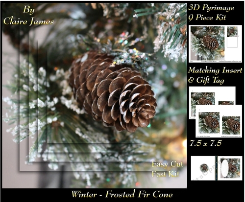 Winter - Frosted Fir Cone - Pyrimage/pyramid + Insert & Tag