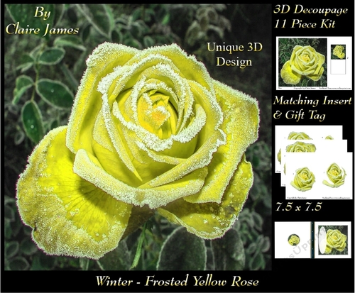 Winter - Frosted Yellow Rose - Decoupage + Insert & Tag